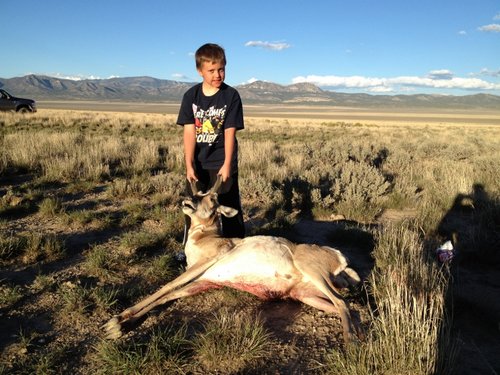 2012 Nevada Antelope 1 (800x600).jpg 2012 Nevada Antelope 1 (800x600).jpg