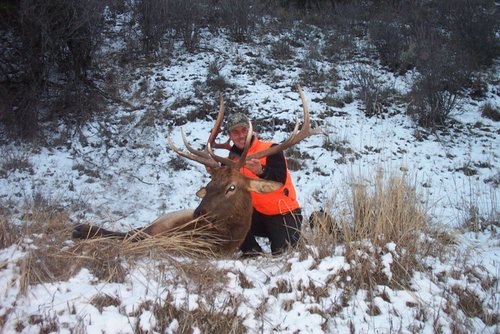 2006 elk book cliffs 4 (800x533).jpg