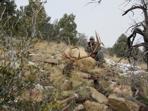 2012 NV Elk13 (800x600).jpg