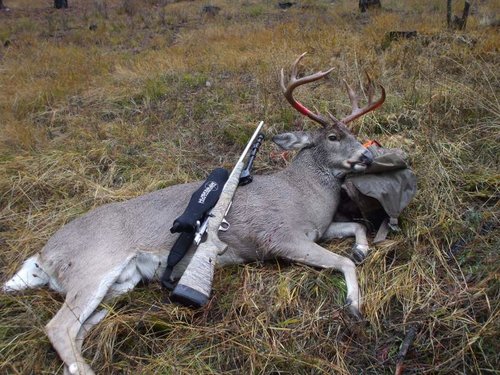 hunting 2012 010.jpg