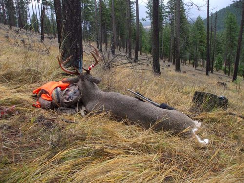 hunting 2012 012.jpg