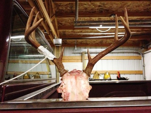 IMG_0253.jpg IMG_0253.jpg