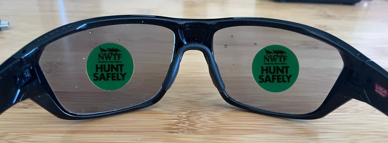 shooting glasses.jpeg shooting glasses.jpeg