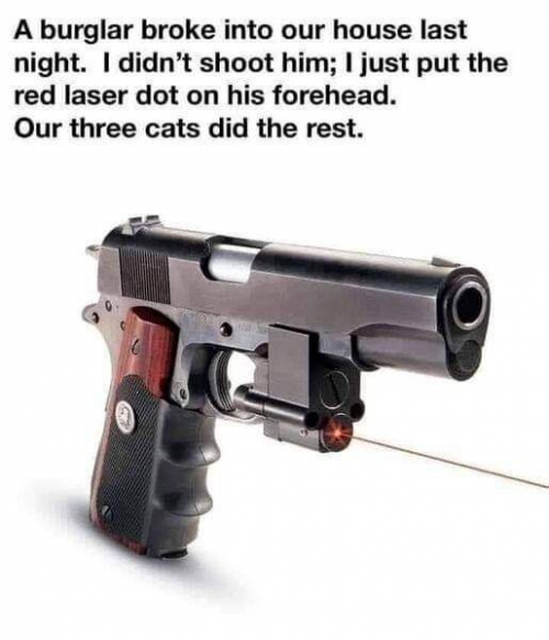 1643729745420.png 1643729745420.png