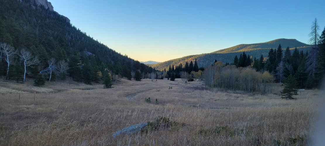 20211016_073852.jpg 20211016_073852.jpg