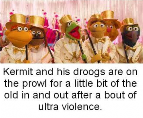 1643998725537.png 1643998725537.png