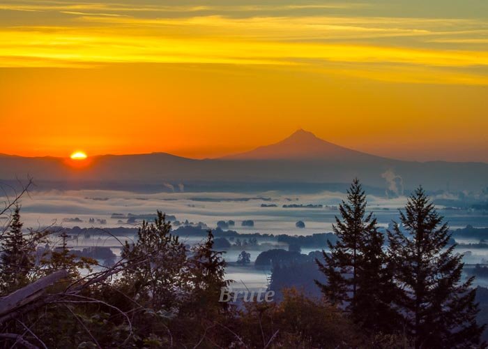 Mt. Hood Fog Sunrise October 2018 a-1061.JPG