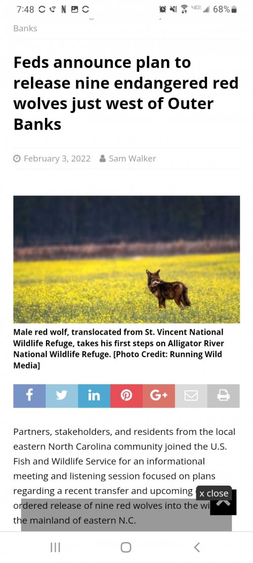 Screenshot_20220209-194836_Chrome.jpg Screenshot_20220209-194836_Chrome.jpg