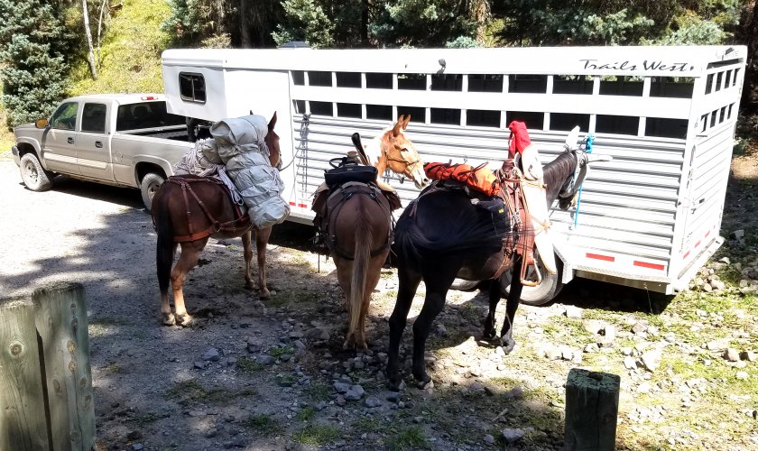 20210910_125809.jpg 20210910_125809.jpg