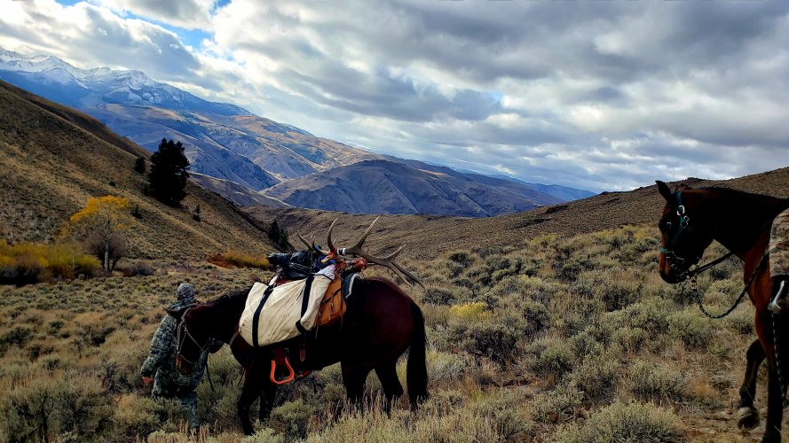 20201119_172908.jpg 20201119_172908.jpg