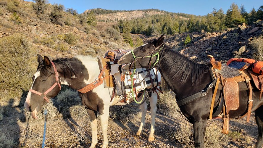 20210917_183941.jpg 20210917_183941.jpg