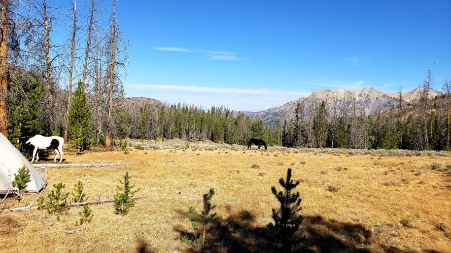 20220214_173852.jpg 20220214_173852.jpg