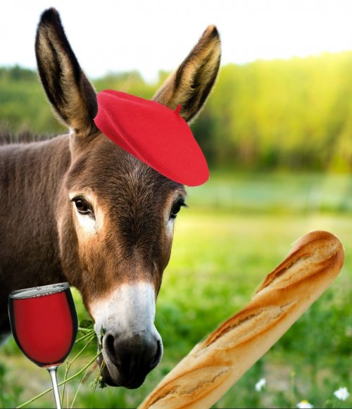 donkeystandlee-2400-1.jpg donkeystandlee-2400-1.jpg