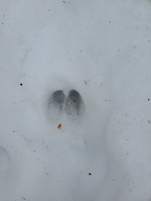 20220216_122915.jpg