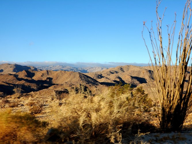 20220215_071431.jpg 20220215_071431.jpg