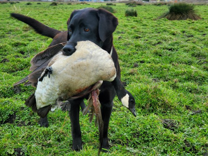 20220219_153152.jpg 20220219_153152.jpg