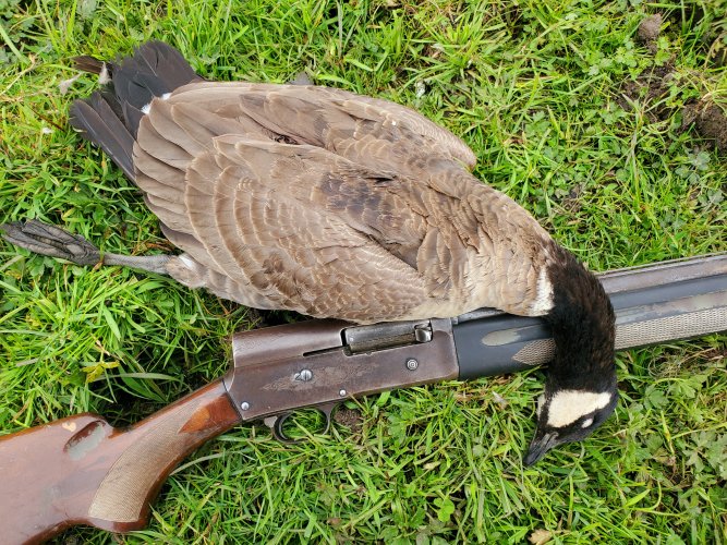 20220219_153924.jpg 20220219_153924.jpg