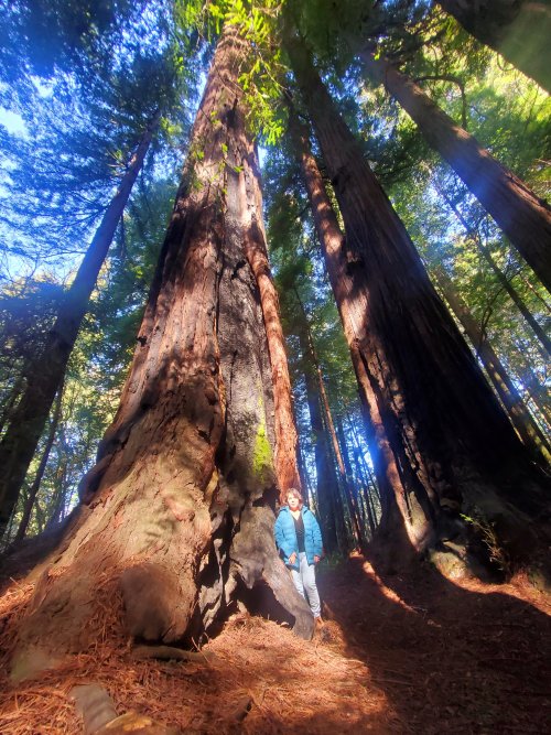 20220218_123828.jpg 20220218_123828.jpg