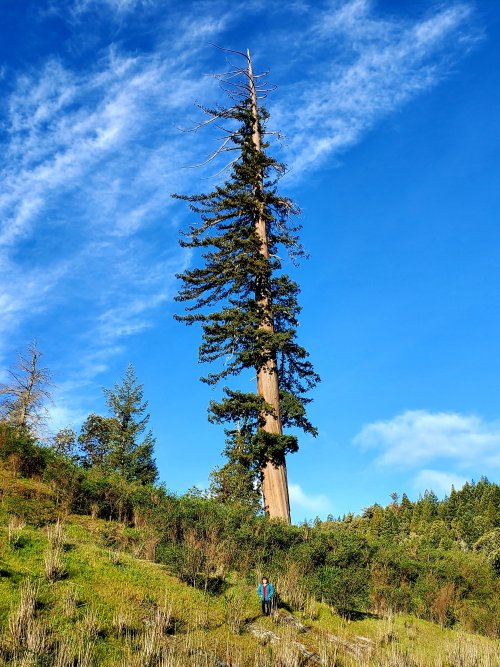 20220220_082508.jpg 20220220_082508.jpg