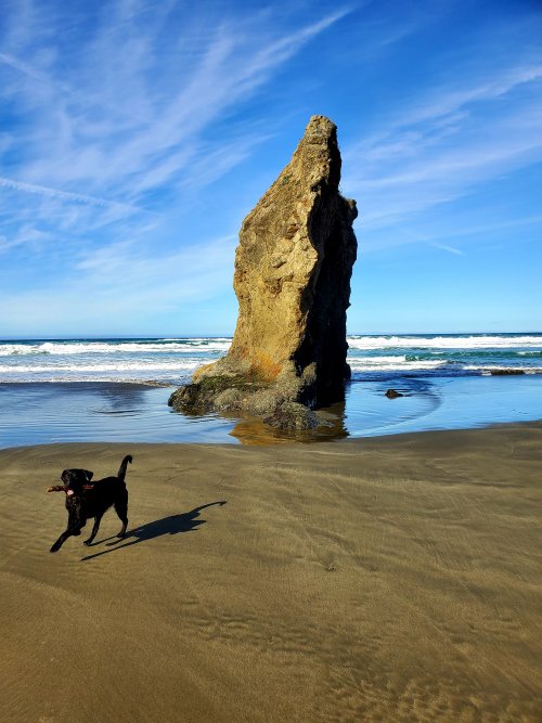 20220220_100923.jpg 20220220_100923.jpg