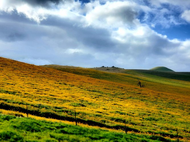 20220221_091641.jpg 20220221_091641.jpg