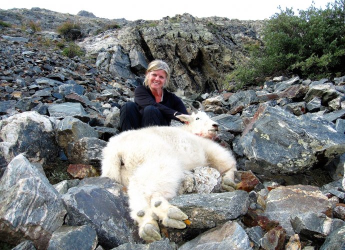8 Kathy Goat (2).jpg 8 Kathy Goat (2).jpg