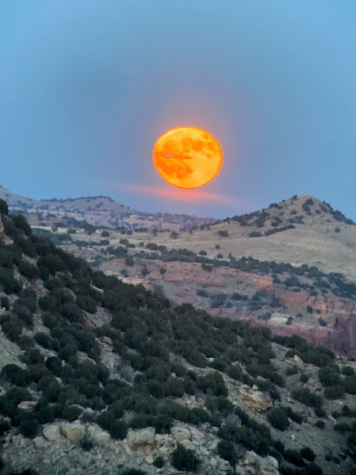 Moon.jpg Moon.jpg