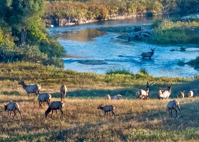 Rocky September 2019 a-0445.JPG