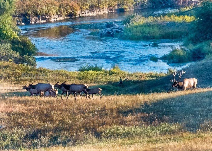 Rocky September 2019 a-0447.JPG