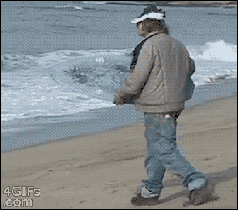 1646003419406.gif 1646003419406.gif
