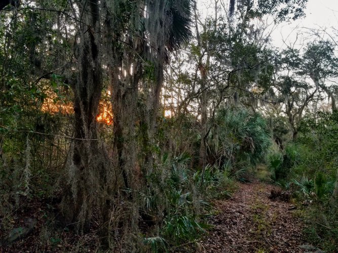 20220225_180241(0)~2.jpg