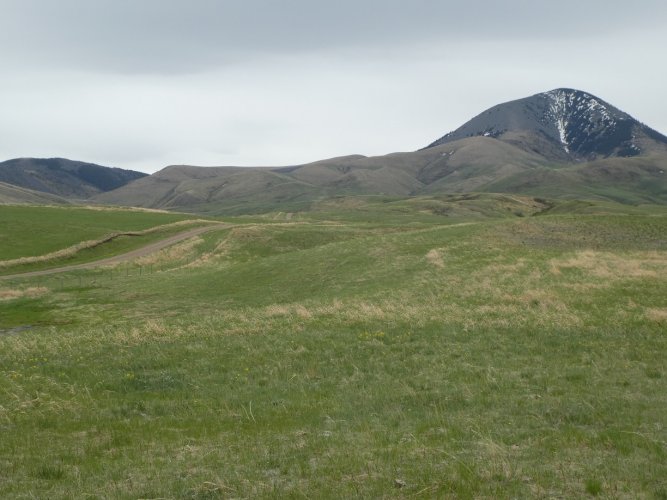 Sweet Grass Hills.JPG