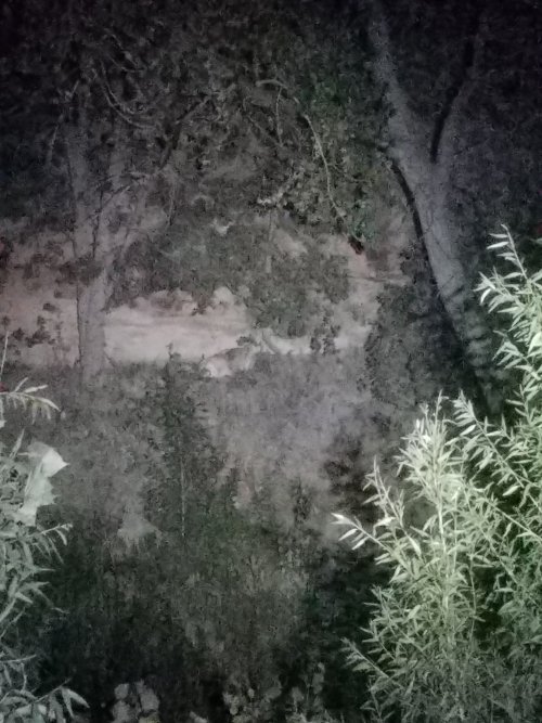 20201001_203323.jpg 20201001_203323.jpg