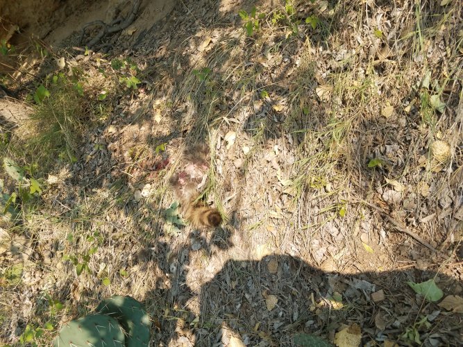 20201002_140224.jpg 20201002_140224.jpg