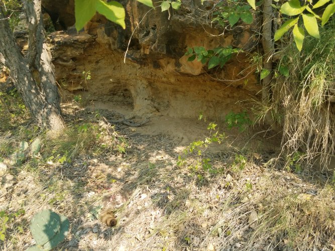 20201002_140228.jpg 20201002_140228.jpg