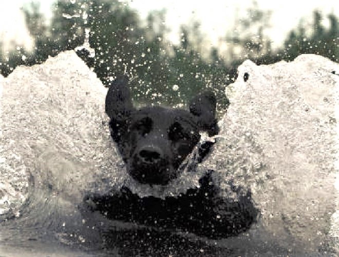 surfin2.jpg surfin2.jpg