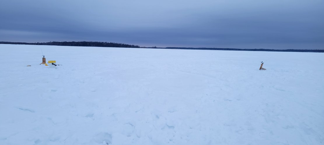 20220305_072505.jpg
