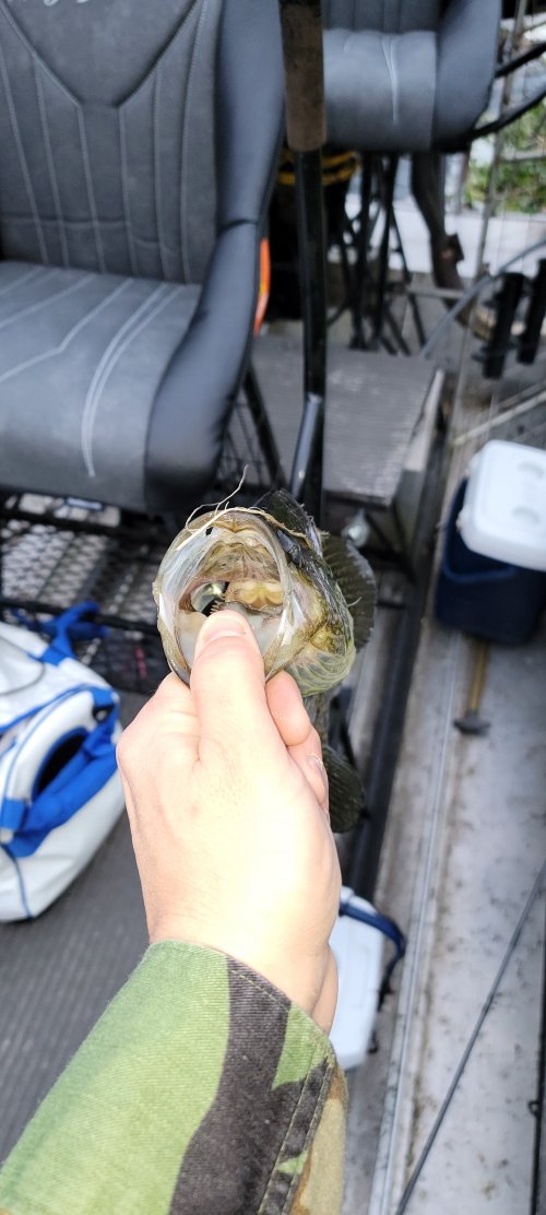 20220228_074804.jpg