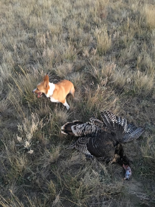 1646688038189.png 1646688038189.png