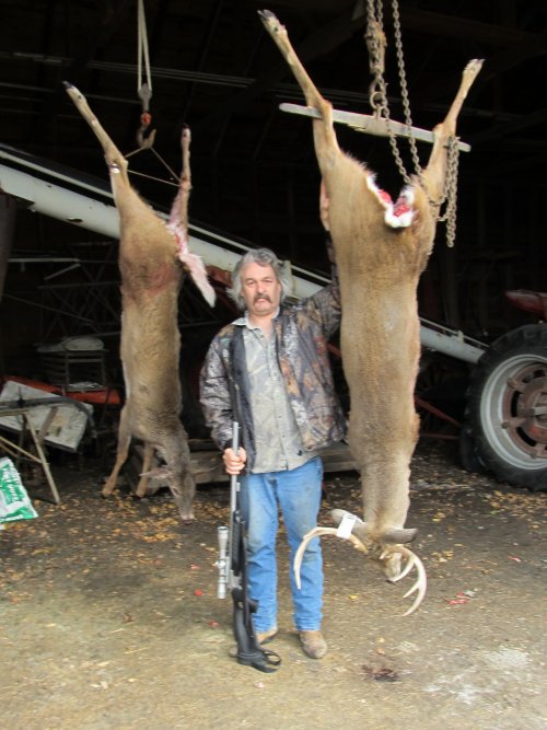 opening day deer.jpg opening day deer.jpg