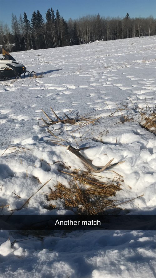 119E6949-2FE9-4900-9B12-F75785967571.jpeg 119E6949-2FE9-4900-9B12-F75785967571.jpeg