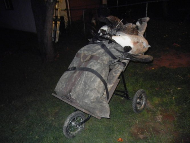 Goose Cart finalA.JPG Goose Cart finalA.JPG