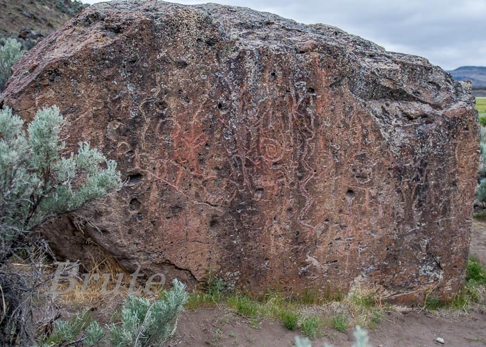 Rock May 2021 a-6877.JPG Rock May 2021 a-6877.JPG