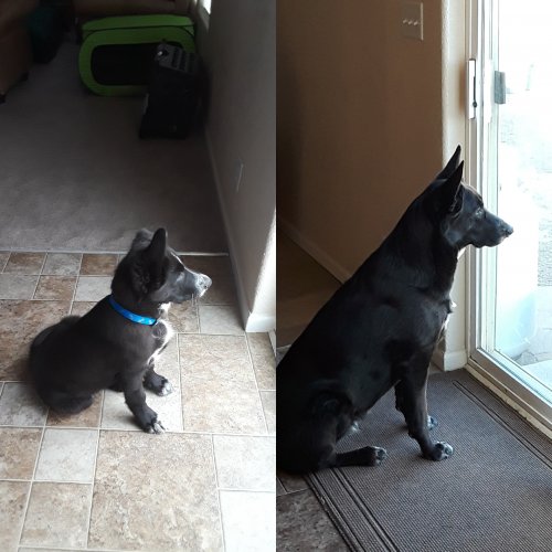 Studio_Project.jpeg Studio_Project.jpeg