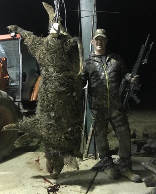 6D6C21A0-489A-429B-A8D2-B473232B1B9B.jpeg 6D6C21A0-489A-429B-A8D2-B473232B1B9B.jpeg