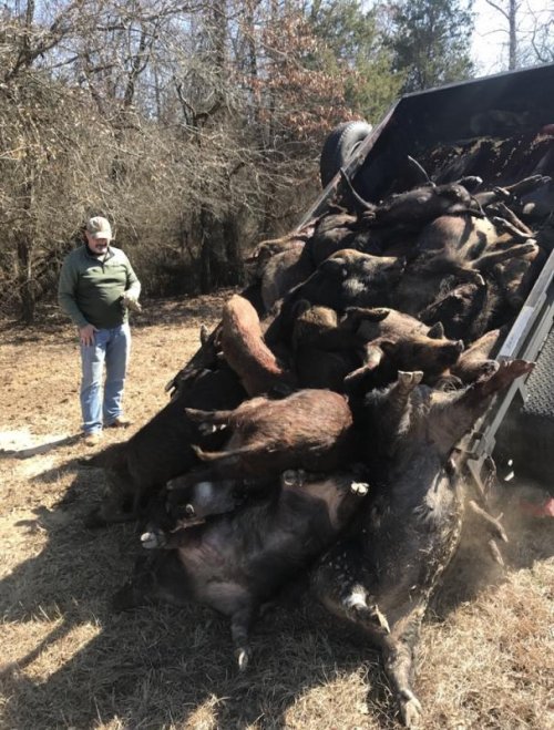 19835EF6-A187-44BD-889D-B356FE8CEFE2.jpeg 19835EF6-A187-44BD-889D-B356FE8CEFE2.jpeg