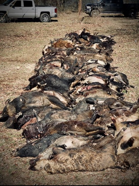 A0A3F8C4-B258-4A0E-93EB-E5841D940713.jpeg A0A3F8C4-B258-4A0E-93EB-E5841D940713.jpeg