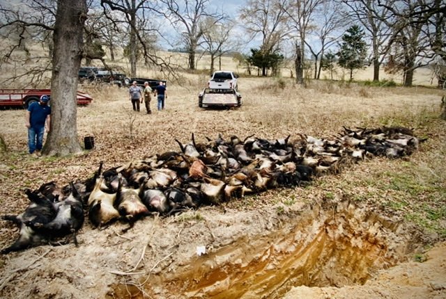 B79117A6-3CBA-4F4A-8B19-D5C89EE354D2.jpeg B79117A6-3CBA-4F4A-8B19-D5C89EE354D2.jpeg