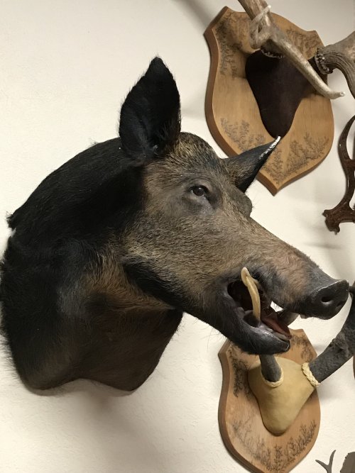 88C6C789-DD2B-434A-83F7-B4892C529E97.jpeg 88C6C789-DD2B-434A-83F7-B4892C529E97.jpeg