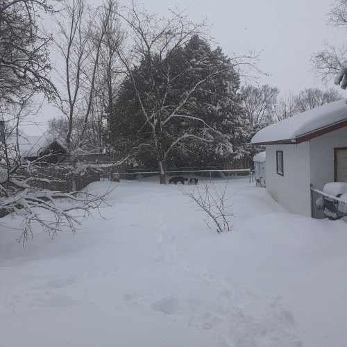 20220323_093524.jpg 20220323_093524.jpg